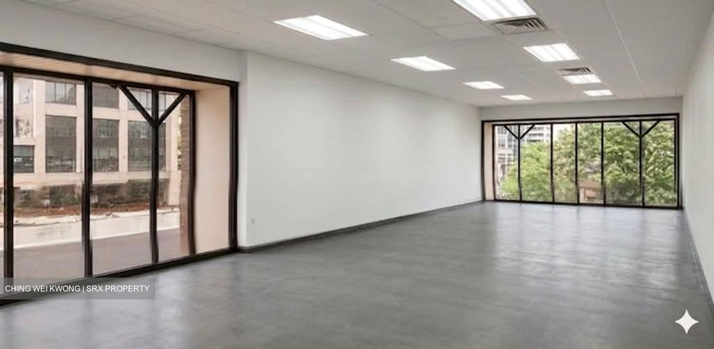 The Adelphi (D6), Retail #574684621